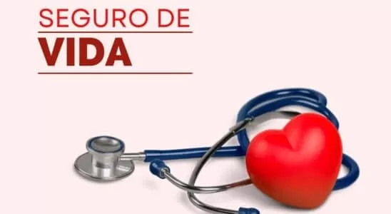 Proteja seu futuro: dicas de ouro para escolher o seguro de vida certo 1 Seguro de Vida