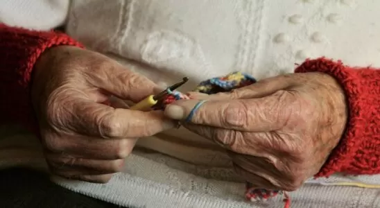 Projeto de Lei 3619/2023: uma revolução na assistência social para beneficiários do BPC LOAS e Bolsa Família 4 Projeto de Lei