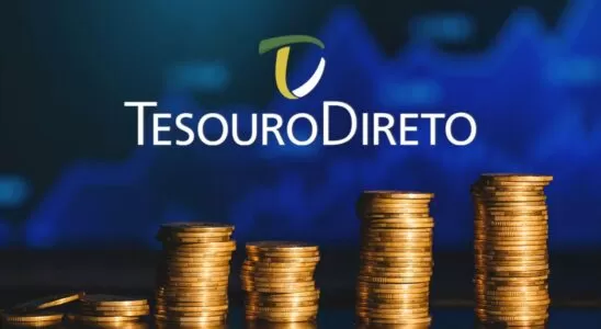 Alcance sua aposentadoria em 30 anos com o Tesouro Direto 8 Tesouro Direto
